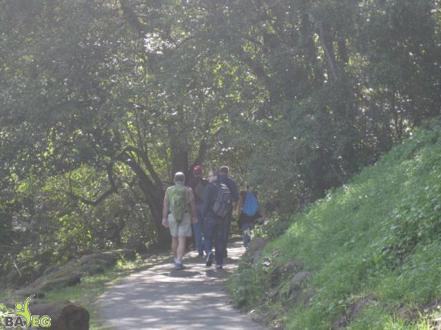 Golden Gate Park