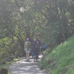 Golden Gate Park