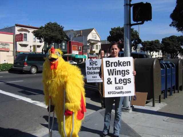 Our costumed "Mr C Chicken" walks on crutches