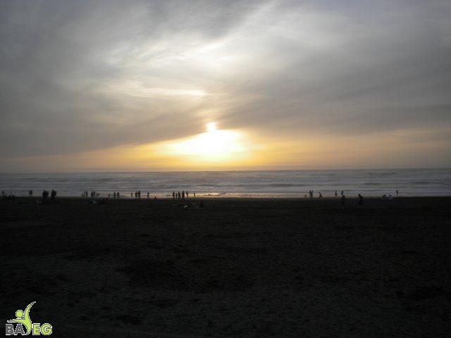 DSCN0465