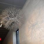 DSCN0454