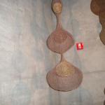 DSCN0455