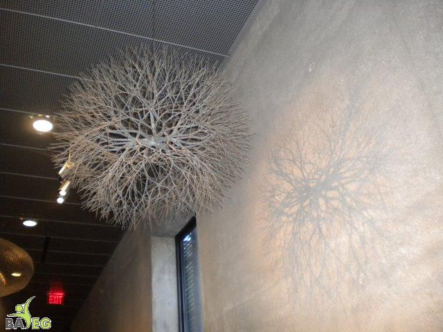DSCN0454