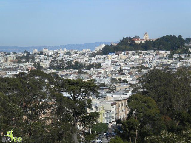 DSCN0458