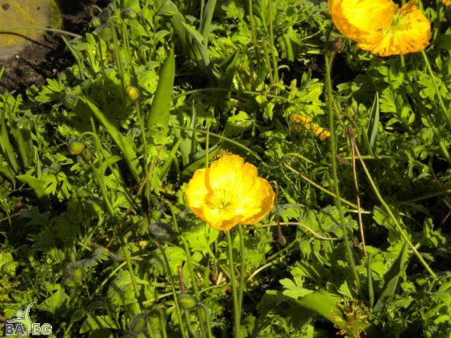 DSCN0325