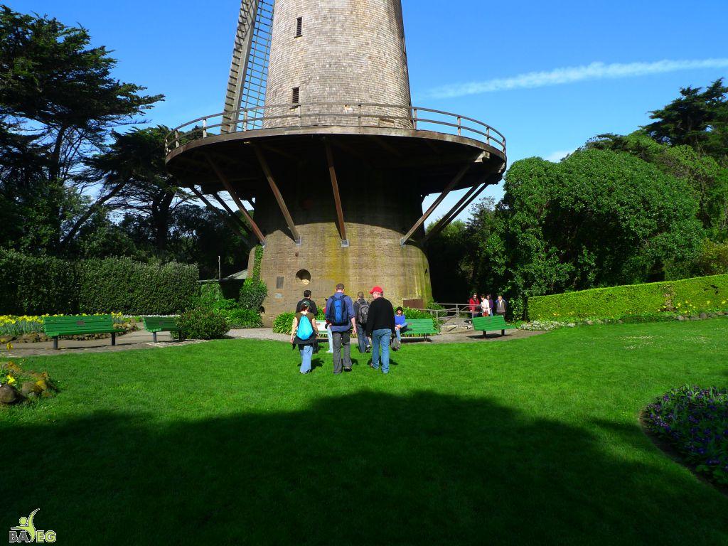 First tour stop .. windmill at Golden Gate Park