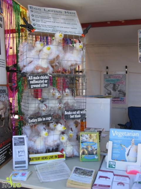 The stacked caged chicken display