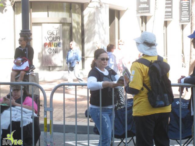 Ann in action