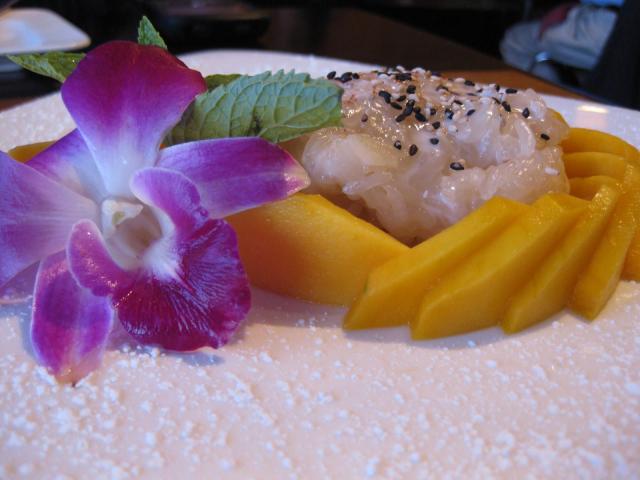 Mango Sticky Rice - March 2010 (generationV.org)