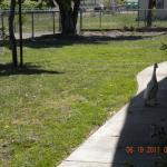 Taking a stroll around Harvest Home.