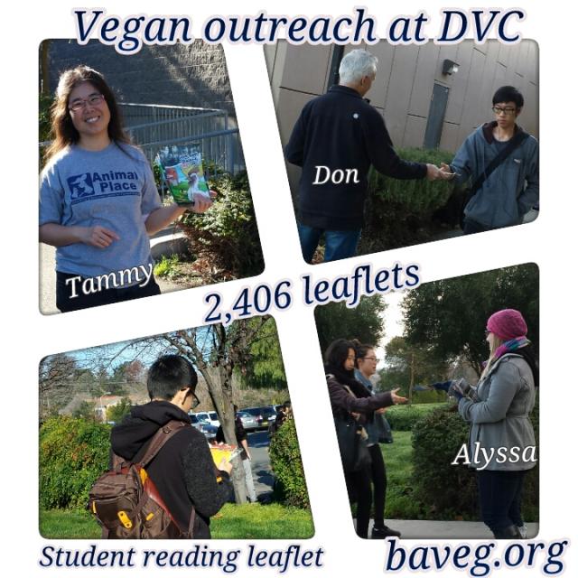 DVC - January 2015