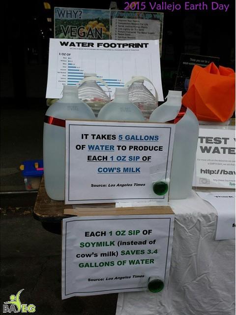 Water, Milk, and Soymilk facts