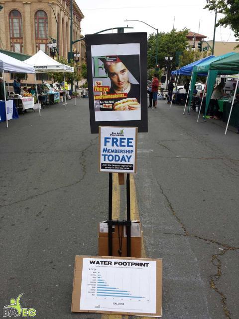 Veganism middle of the road!