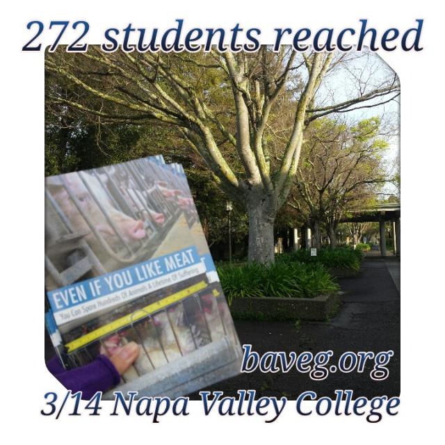 272 Students reached at Napa Valley College