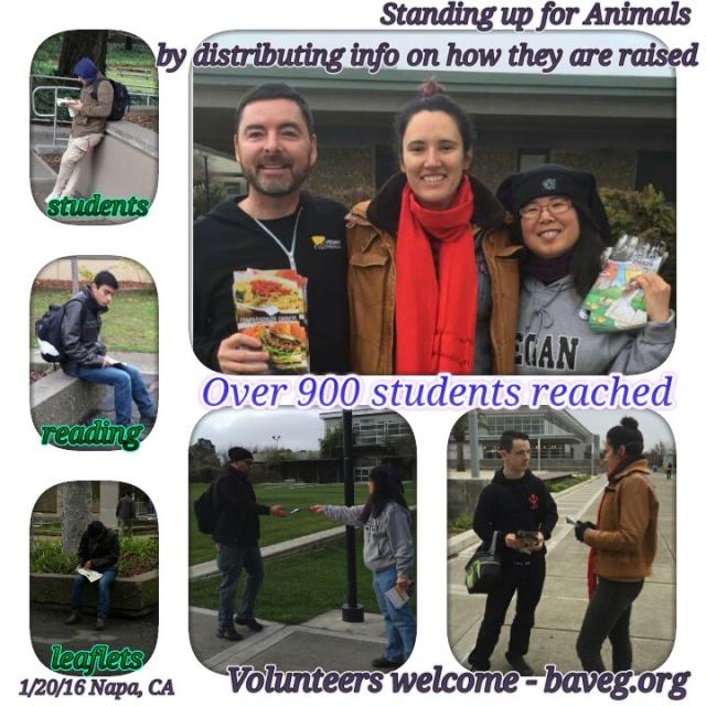 Over 900 students reached at Napa Valley College