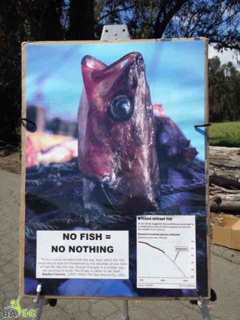 Future Without Fish
