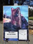 Future Without Fish