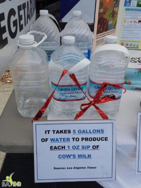 5 gallons of water to produce 1 oz of Cow's Milk