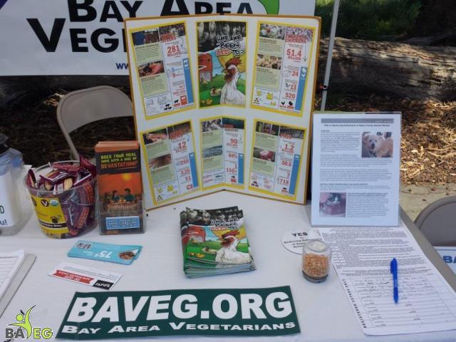 Have We Been Lied To?