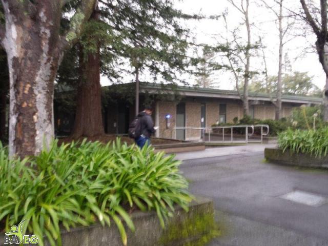 Student reading leaflet