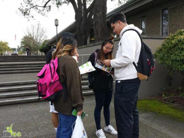 Students reading leaflets