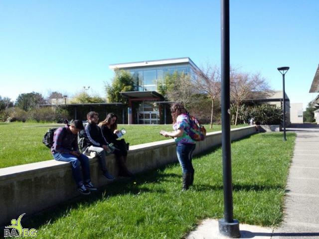 Students reading leaflets