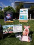 NVC - Poster Display