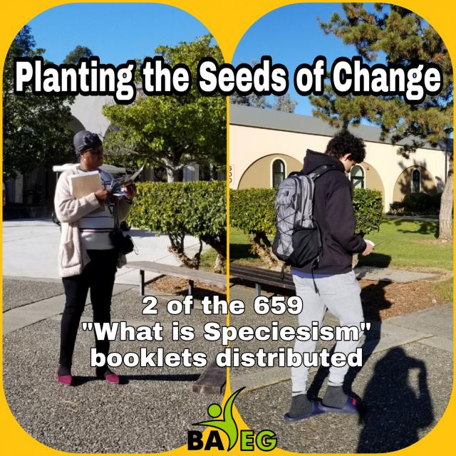 Solano Community College Opening Day Fall 2020