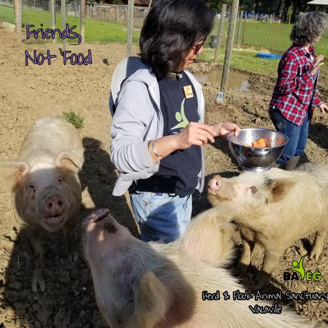 Tammy sharing food with Diego, Tom and Luther