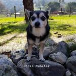 Eddie Munster