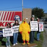 Protesting the inhumane treatment of 750,000,000 chickens slaughtered for KFCs.