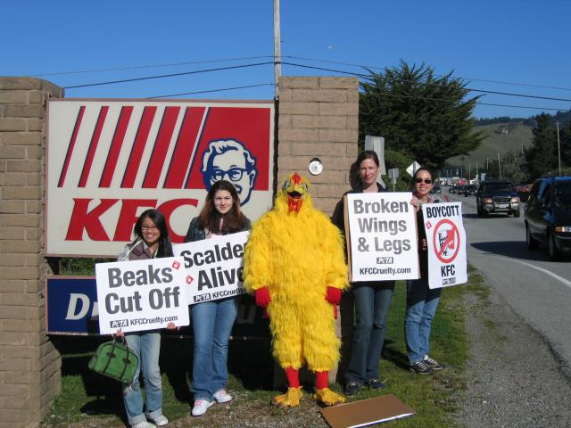 Protesting the inhumane treatment of 750,000,000 chickens slaughtered for KFCs.