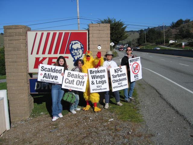 Our costumed chicken urges awareness of KFC's treatment of chickens.
