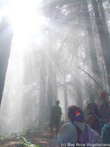 DSC01673.jpg