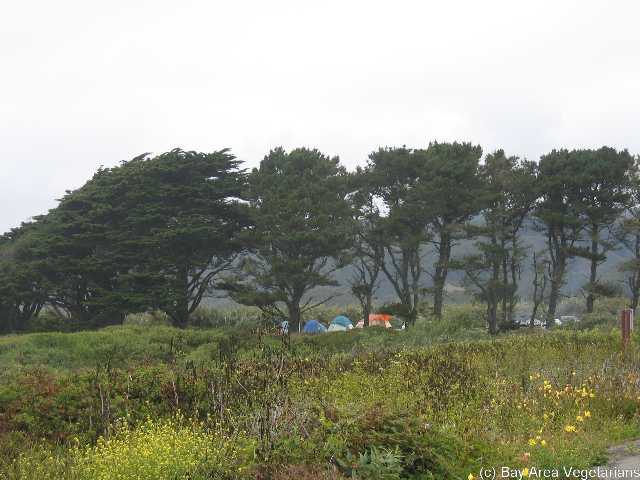 Our campsite, behind the trees
