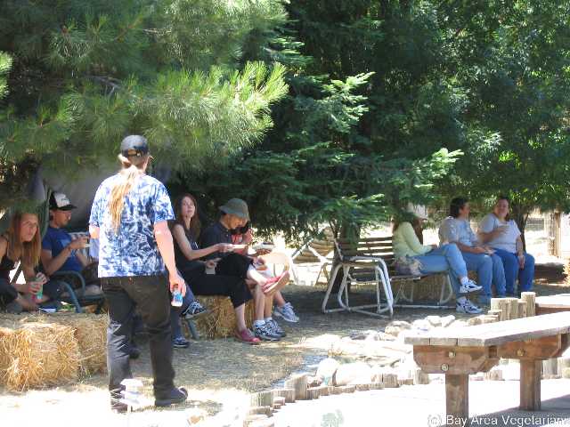 IMG_0393.jpg