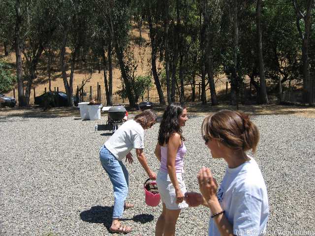 IMG_0423.jpg