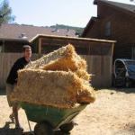 IMG_0450.jpg