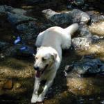 DSCN8059.jpg