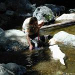 DSCN8062.jpg