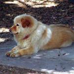 DSC04422.jpg