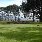 DSCN7897.jpg