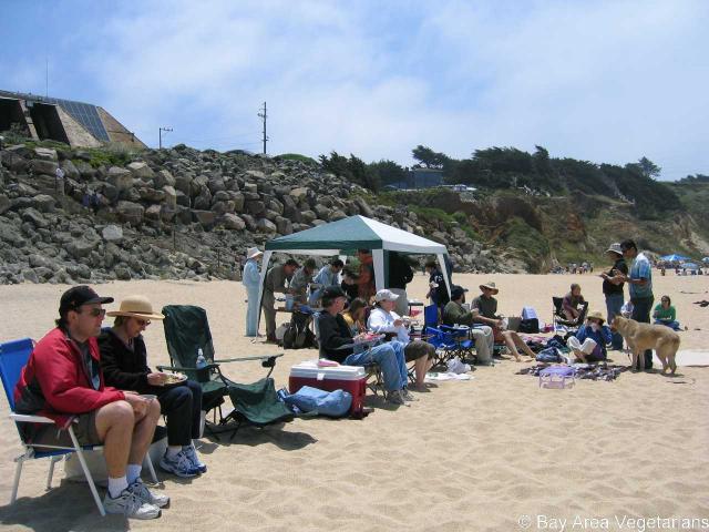 Everyone spread out for the view