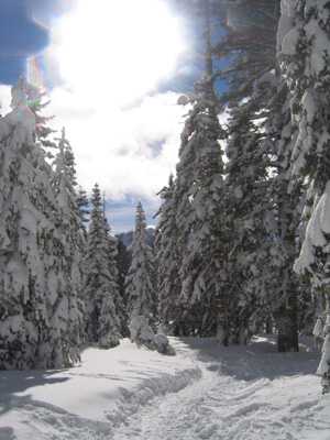 8448 snow world.jpg