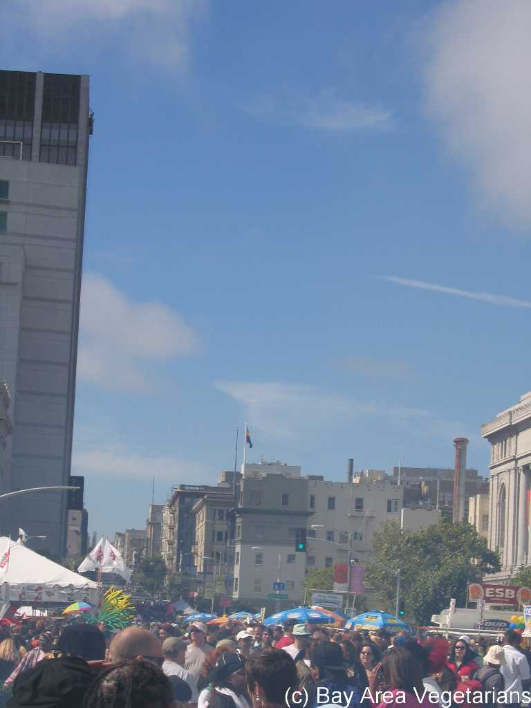 IMG_1045.jpg