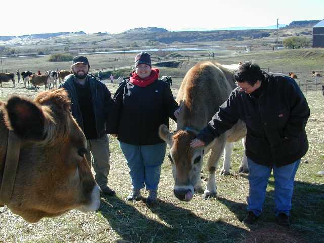 Chris, Nicole, Regina with bovine friends