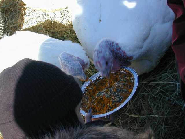 DSCN7657.jpg