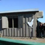 Each species has their own barn