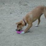 DSCN7352.jpg