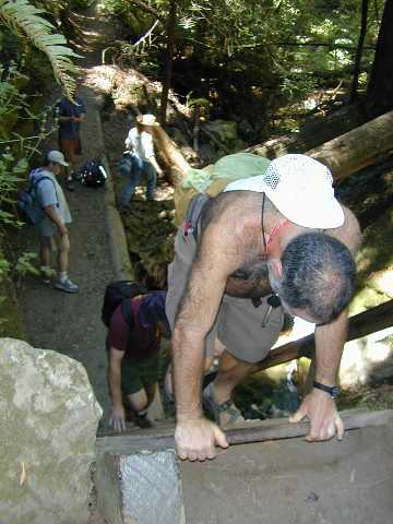 DSCN7270.jpg